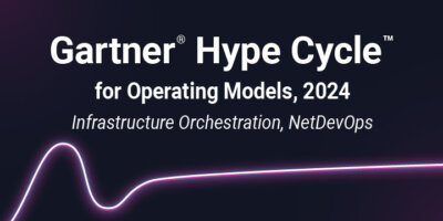 Gartner Hype Cycle for Operating Models 2024